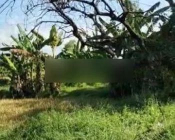 Tanah Industri Pasuruan Wonorejo Dekat Tol Nol Jalan